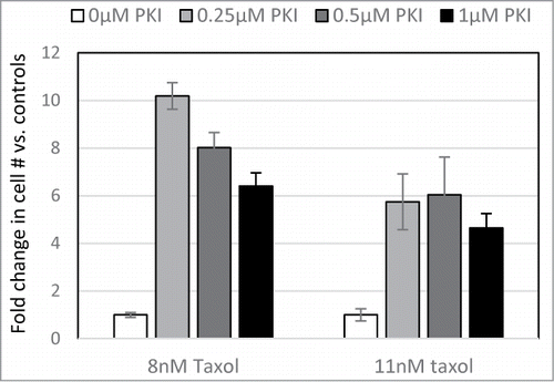 Figure 5. PKA inhibitor confers Taxol resistance. LNGK9 cells were treated with 0, 0.25, 0.5, or 1μM PKI in combination with 0, 8, or 11nM Taxol for 5 days. Following a 1 week recovery period, cell numbers were assessed by methylene blue staining and graphed as a fold change vs. untreated cells. The average results of 3 independent experiments are shown and the error bars depict standard deviations.