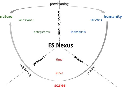 Figure 1. The ES nexus.