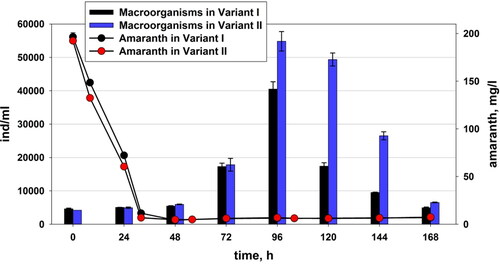 Figure 4. Changes in the quantity of the micro- and metafauna and the residual amount of amaranth in Variant I (without P. aureofaciens AP-9) and Variant II (with P. aureofaciens AP-9).