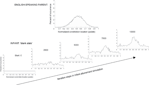Figure 4. Simulation of “blank slate” infant (lower left) attunement to English “parent” input (top center) based on articulatory data from a native English speaker, which shows a unimodal frequency distribution of alveolar Tongue Tip (TT) constriction locations along the hard palate (normalized 0–1). The time series (lower portion of diagram) indicates successive 2,500-iteration steps in the 10,000-iteration simulation.