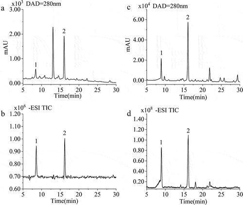 Figure 1. DAD chromatogram at 280 nm (A) and total ion chromatogram (B) of LRS in the negative ion mode; DAD chromatogram at 280 nm (C) and total ion chromatogram (D) of LRJ in the negative ion mode.