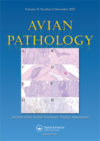 Cover image for Avian Pathology, Volume 51, Issue 6, 2022