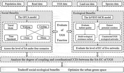 Figure 2. Coupling coordination analysis framework for spatial accessibility and ecological connectivity of UGSs.