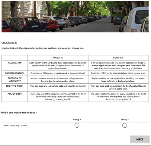 Figure 1. Example set of two policy profiles in our conjoint.