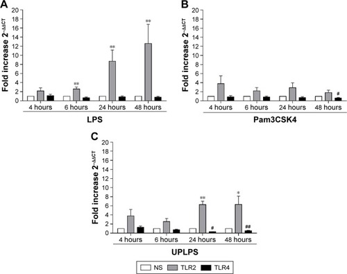 Figure 4 The effects of LPS, Pam3CSK4, and UPLPS on TLR2 and TLR4 expression. COPD alveolar macrophages were left untreated or stimulated with LPS (1 μg/mL; n=6) (A), Pam3CSK4 (0.1 μg/mL) (B), or UPLPS (0.1 μg/mL; n=5 different donors) (C) for 4, 6, 24, and 48 hours. TLR2 and TLR4 gene expression was measured by qPCR and fold change was normalized to GAPDH. Paired t-tests were carried out to compare fold induction to unstimulated time-matched controls. *,**Indicates significantly increased above unstimulated time-matched control (p<0.05 and p<0.01, respectively). #,##Indicates significantly decreased below unstimulated time-matched control (p<0.05 and p<0.01, respectively).