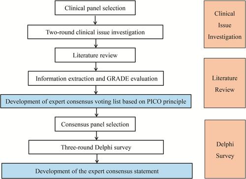 Figure 1 The development process of expert consensus.