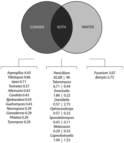 Figure 8. Venn diagram showing the 20 most abundant genera of fungi identified in air samples from BF2 during summer and during winter and those present during both seasons. The numbers are percentages of relative abundance. In the middle section, percentages of relative abundance of each fungus in summer and winter are separated by a vertical bar.
