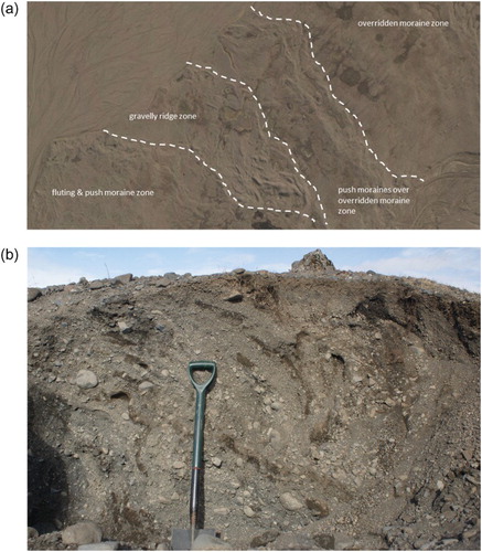 Figure 11. Gravelly push moraine ridges on the Heinabergsjökull foreland: (a) aerial photograph extract (Loftmyndir ehf 2007) showing the pattern of cross-cutting by the higher relief gravelly ridges of the lower amplitude push moraines; (b) exposure through one of the gravelly push moraine ridges showing glacitectonically deformed, stratified sands and gravels.
