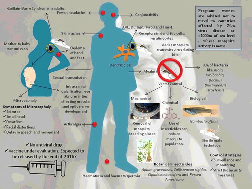 Figure 5. An overview of Zika viral disease and its prevention and control.