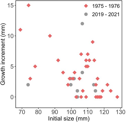 Figure 5. Growth increment (mm) and initial length (mm) of Haliotis iris within Peraki Bay, Banks Peninsula, New Zealand, in February 1976 (red, n = 37) and March 2021 (grey, n = 11).