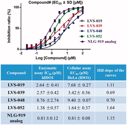 Figure 9. Dose-dependent inhibition of compounds LVS-019, LVS-039, LVS-048, LVS-052, and GDC-0919 analogue on cellular IDO1 inhibitory activity in the HeLa cell line. The table showed the enzymatic IC50, cellular IC50 and Hill slope of the curves of compounds LVS-019, LVS-039, LVS-048, LVS-052, and GDC-0919 analogue. The data were evaluated by Prism 6. The data are expressed as the mean ± SD calculated from three independent determinations.