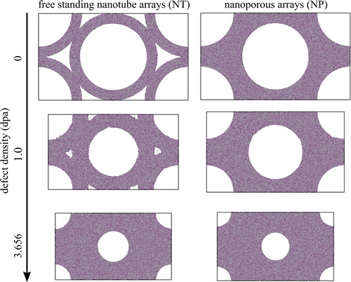 Figure 3. Configurational snapshots of two dimensional cross sections normal to the pore axis taken from three dimensional simulations of NT and NP arrays with shrinking diameter as function of introduced defect density are shown. Titanium atoms are grey, oxygen is purple. The size of the unit cell decreases with progressing pore closure since zero stress is maintained in all spatial directions.