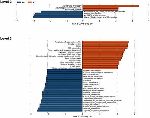 Figure 5. Functional predictions for the oral microbiota of PD patients and healthy controls