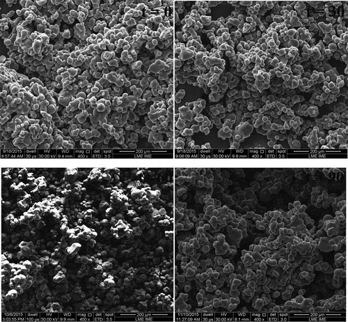 Figure 1. Scannning electronic microscopy (SEM) photographs of mixed pulp of mango and passion fruit microspheres in times of shelf life of 0, 30, 60, and 90 days