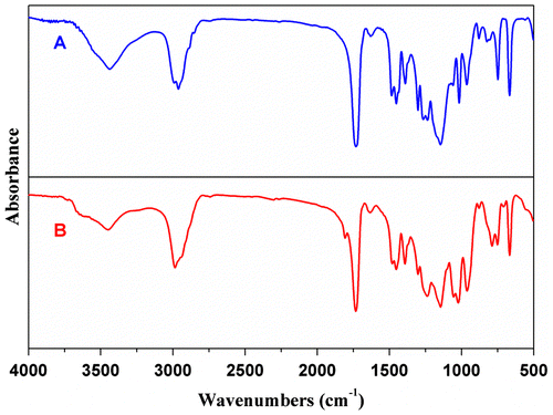 Figure 2. FTIR spectra of Sample P1 (A) and Sample F1 (B).