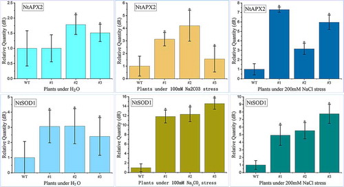 Figure 11. Real-time quantitative analysis of PtWRKY39 gene under stresses of salt (NaCl), alkali (Na2CO3)