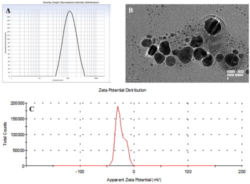Figure 2. A-DLS spectrum of AgNPs, the size of nanoparticles was in the range of 90–113 nm, B-TEM image of AgNPs, the average size of the nanoparticles is 17 nm, C-Zeta potential of AgNPs, the zeta potential here is −25.3 mV.