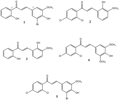 Figure 2 Chemical structure of the synthesized compounds (1–5).