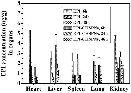 Figure 7. The EPI levels (μg/g) in heart, liver, spleen, lung and kidney after i.v. administration at 10 mg/kg equivalent drug of free EPI and EPI-CHSPNs (mean ± SD and n = 5).