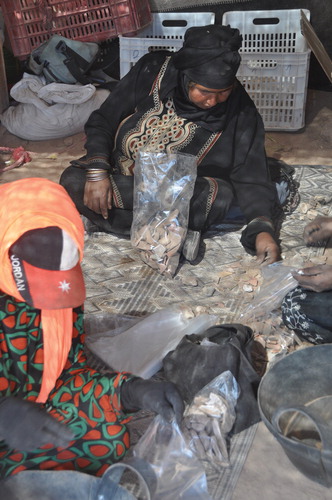 Fig. 2:. Women from the TWLCRM local team bag pottery recovered during the sifting of the large dumps produced by the original AEP excavation. One goal of the TWLCRM social engagement program is to train local women to identify and process the thousands of sherds recovered from the AEP dumps. Photo: Ghaieth Al Faqeer