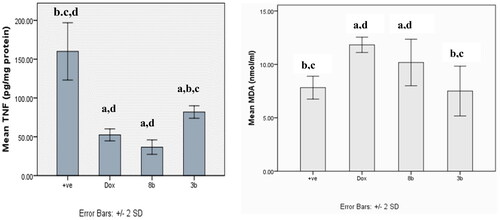 Figure 17. The effect of compounds 8b and 3b compared to doxorubicin on levels of TNF-α and MDA serum level in in experimental mice. All tested groups were implanted with Ehrlich solid tumour then treated with vehicle only (positive control), DOX, 8b, or 3b. The results were shown as mean SD and evaluated using one-way ANOVA followed by Tukey’s post-hoc test at a significance level of p = 0.05 (n = 6). Significantly distinct from the positive control group, DOX group, 8b group, and 3b group. Significantly distinct from the 8b group.