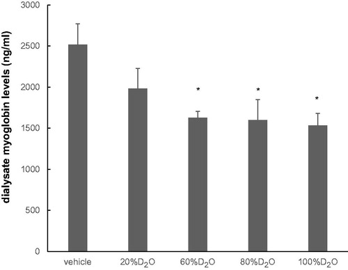 Figure 3. Dialysate myoglobin levels at 15–30 min of coronary occlusion at various concentrations of D2O (n = 7 each). The differences between the levels of dialysate myoglobin in the vehicle and D2O groups were significantly different (60, 80, and 100% D2O). Values are mean ± standard error. *p < .05 vs. vehicle.