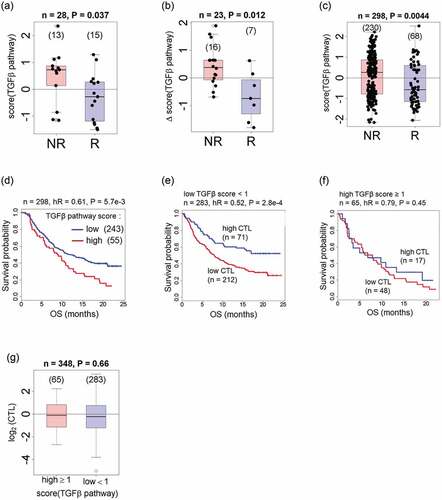 Figure 1. Higher TGFβ pathway activation is associated with worse objective response and lower overall survival under anti–PD-1/PD-L1 therapies. a–c. High TGFβ pathway activation correlates with resistance to PD-1/PD-L1 therapies and with reduced overall survival. Box plots show TGFβ activation signatures in nonresponders (NR) and responders (R) in (a), melanoma data from Hugo et al.;Citation37 (b), melanoma data from Sade-Feldman;Citation38 and (c), urothelial cancer data.Citation21 Enrichment scores are obtained via a regulated Kolmogorov-Smirnov analysis using the RNA sequencing whole-transcriptome profiles available in each study. P values are from Wilcoxon tests. (d), Overall survival for the groups of patients with urothelial cancer who had TGFβ-low pathway activation (n = 243; enrichment score ≥1) and TGFβ-high pathway activation (n = 55; enrichment score <1). TGFβ-low and TGFβ-high data from urothelial cancer was further subdivided on the basis of the respective cytotoxic T lymphocyte (CTL) scores, and patient survival was compared in each case. (e), Survival curves are shown for the TGFβ-low patients, and (f), for the TGFβ-high patients. Box plots show CTL scores in TGFβ-high and TGFβ-low groups (high versus low TGFβ pathway activation), which were not different (g).