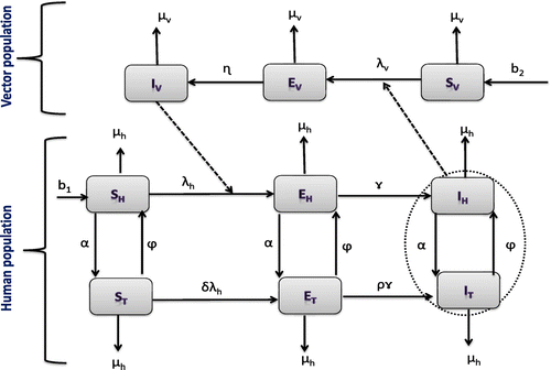 Figure 1. A compartmental representation of the epidemics and treatment of onchocerciasis. It is important to note that the model proposed here is an extension of the previous model studied in Omondi et al. (Citation2017).