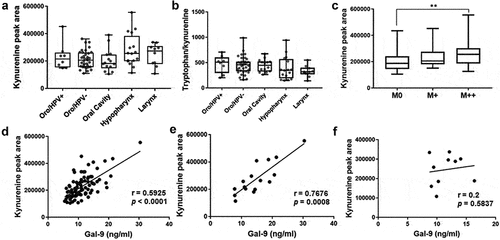 Figure 5. Variations of plasma kynurenine (Kyn) concentrations in connection with some clinical and biological characteristics of HNSCCs. a Comparison of the plasma Kyn concentrations according to the five tumor categories: oropharyngeal (oro) HPV-pos and neg, oral cavity, hypopharynx, larynx. Kyn concentrations were estimated from the areas under the corresponding m/z peak curves corrected according to quality control data. There was a trend toward higher concentrations for plasma samples related to hypopharyngeal and laryngeal carcinomas (Kruskal-Wallis p = .18). b Comparisons of the ratios of Tryptophan/Kyn concentrations in the five tumor categories. c Distribution of plasma Kyn concentrations according to the number of metastatic sites; M0: absence of any detectable metastatic site (n = 33); M+: only one metastatic site (n = 20); M++: two or more metastatic sites (n = 30) (Kruskal–Wallis test: p = .016 – Dunn’s multiple comparisons test: M++ vs M0 p = .015); d Correlations of gal-9 concentrations (based on ELISA) with Kyn concentrations (based on mass spectrometry) for plasma samples of the whole HNSCC cohort (83 patients)(Spearman test). e and f Same correlations restricted to plasma samples related to hypopharyngeal (e) and laryngeal (f) carcinomas.