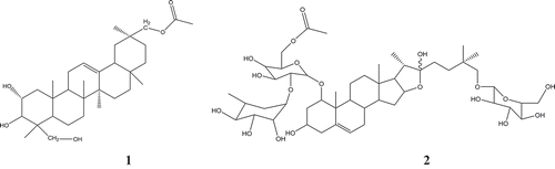 Figure 1. Saponins from the stems of L. feei (1 and 2) (Belboukhari & Cheriti, Citation2009).1:2α,3β,23-Trihydroxy-30-acetylolean-12-ene (C32H52O5)2:1-O-[α-L-Rhamnopyranosyl-(1)-6-O-acetylβ -D-galactopyranosyl]-1 β,3 β,22 ξ − 26-tetrahydroxyfurost-5(6)-ene-26-Oβ -D-glucopyranosid(C50H82O19)