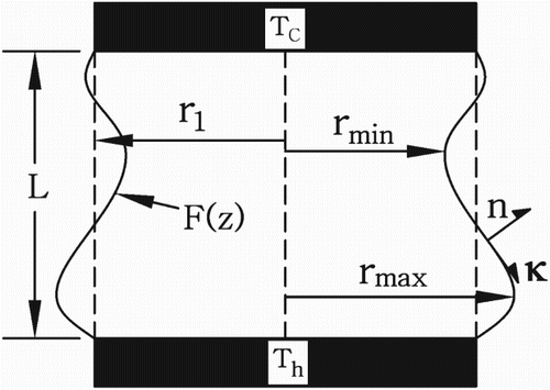 Figure 2. Sketch of the free-surface and boundary conditions in the vertical section.