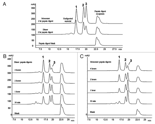 Figure 2. Fragment-SEC chromatograms of papain-digested dimer and monomer. (A) Papain digest of dimer and monomer. Peak 1 is a Fab/Fab associated species, Peak 2 is intact disulfide-linked Fc, and Peak 3 is the monomeric Fab (Table 2). (B) Papain digest incubation time course study of the dimer. Peak 1 (Fab/Fab species) increases with incubation time, while Peak 3 (Fab) decreases. Peak 2 (intact Fc) remains constant. (C) Papain digest incubation time course study of the monomer. Peak 1 (Fab/Fab species) increases with incubation time, while Peak 3 (Fab) decreases. Peak 2 is unchanged.