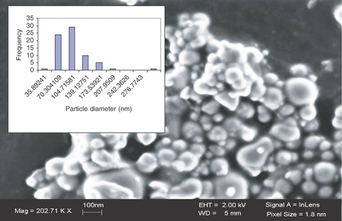 Figure 2. SEM image of Ni nanoparticles. The distribution of particle sizes obtained from analysis of SEM images is shown in the insert.