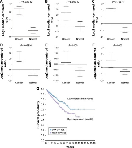 Figure 1 CAV2 expression was elevated and associated with poor outcome in renal cell carcinoma.