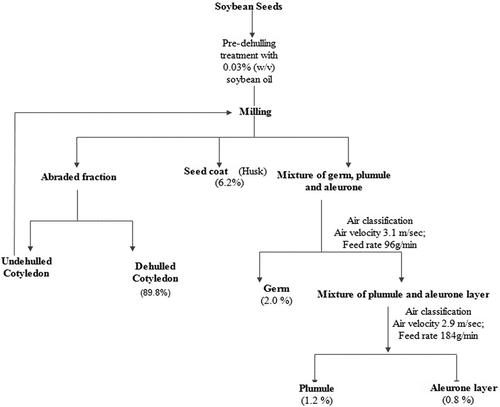 Figure 1. Flow diagram for milling and separation of soybean-milled fractions.