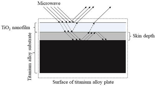 Figure 9. Possible mechanism of the thermal barrier effect of TiO2 nanofilm. This is the conjectured pattern diagram that does not represent the true sample size and energy conversion mechanism.