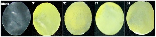 Figure 3 Mass area morphological features of films with uniform drug distribution.Note: Surface and color differences were observed on films containing nanoparticles with various polymer compositions (S1, S2, S3, and S4) and blank film.