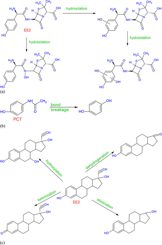 Figure 2. Transformation of pharmaceutical active compounds: (a) amoxicillin, (b) paracetamol, and (c) estrogen (17α-ethinylestradiol).