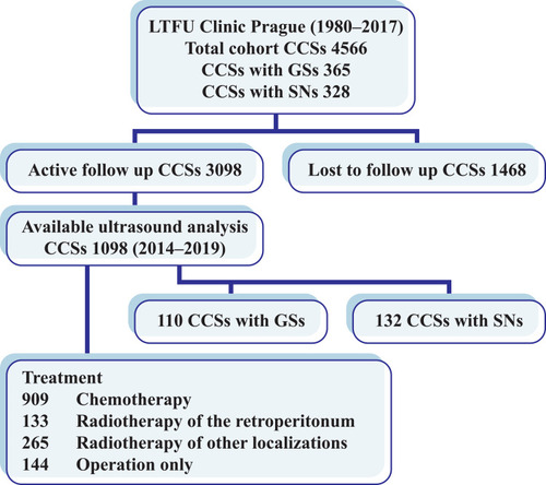 Figure 1 A summary of the cohort definition.