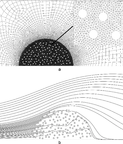 FIG. 8. The meshing (a) and particle trajectories (b) for St = 10, , , and .