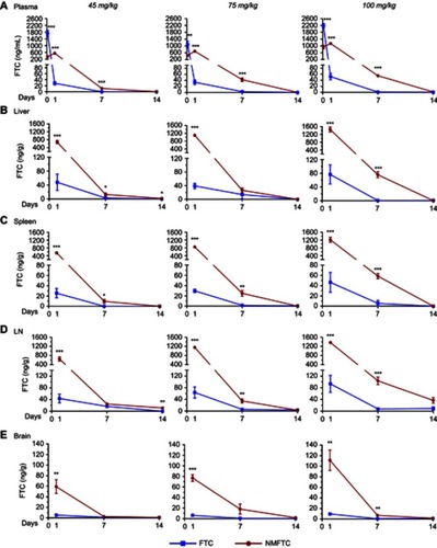 Figure 6 NMFTC pharmacokinetics. Sprague-Dawley rats were injected IM with 45, 75 or 100 mg/kg FTC or FTC-equivalent dose of NMFTC. NMFTC resulted in significantly higher FTC concentrations, as compared to FTC, in rat (A) plasma, (B) liver, (C) spleen, (D) LNs and (E) brain. Results are shown as mean±SEM, n=3–5; *P≤0.05, **P≤0.01, ***P≤0.001.Abbreviations: FTC, emtricitabine; NMFTC, nanoparticle of modified FTC prodrug; LN, lymph node; SEM, standard error of the mean.