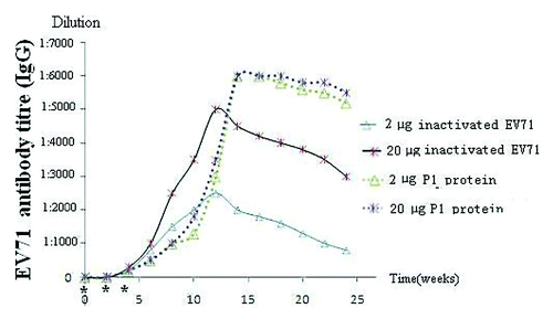 Figure 2. The mean of anti-EV71 antibody titers. Serum samples were collected on the days indicated on the x-axis. Group (2 μg P1 protein) was immunized with 2 µgP1 protein; group (20 μg P1 protein) was immunized with 20 µg P1 protein; group (2 μg inactivated) was immunized with 2 µg. Heat-inactivated EV71; group (20 μg inactivated) was immunized with 20 µg. Heat- inactivated EV71 alone respectively on day 0 and day 14 and day 28 (indicated by *)