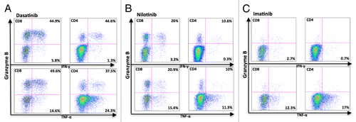 Figure 4. Granzyme B positive T-cells in dasatinib-treated CML patients produce mainly IFN-γ. Fresh PBMNCs were stimulated with OKT3 and co-stimulatory molecules (α-CD28 and α-CD49d) for 6 h in the presence of Golgi STOP. After the stimulation, Th1-type cytokine (TNF-α and IFN-γ) production in T-cells was measured separately by flow cytometry. The figure presents a representative dasatinib- (A), nilotinib- (B), and imatinib- (C) treated patient (patient nr 6, 23, and 14 in Table 1).