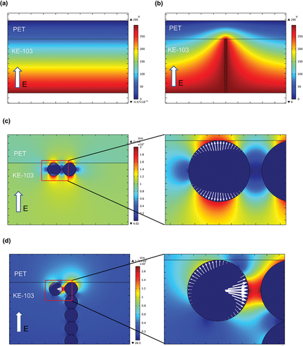 Figure 6. Simulation of the potential change between flat plate electrodes: (a) uniform variation of potential in the absence of 1D-I CIP. (b) Uneven variation of potential at the top of the chain in the presence of a 1D-I CIP. (c) Simulation of the electric field strength between adjacent CIPs on the top surface. The electric field between CIPs is very small when two isolated CIPs are distributed adjacent to each other on the top surface. (d) When isolated CIPs are distributed adjacent to a 1D-I CIP on the top surface, the electric field between the CIPs is very large and the isolated CIP on the left is subjected to a horizontal rightward electric field force. (The Maxwell’s surface stress tensor is indicated by a white arrow.) Simulated environment: CIP (10 µm)/prepolymer suspension treated with an electric field of 1 kV/mm.