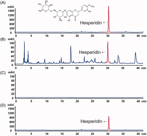Figure 3. The high-performance liquid chromatography finger-print spectra. (A) Standard of hesperidin (0.5 mg/mL); (B) Schizonepetae Spica (SS) water extract; (C) SSC-CDs (0.035 mg/mL); (D) mixture of SSC-CDs (0.035 mg/mL) and standard of hesperidin (0.5 mg/mL) by ratio of 1:1.