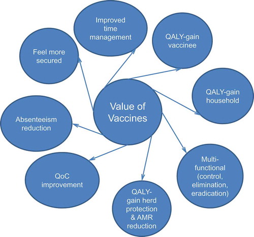 Figure 3. Additional value characteristics and gains with vaccines.QALY, quality-adjusted life-year; QoC, quality of care; AMR, antimicrobial resistance.
