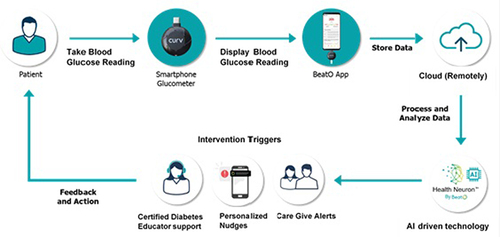 Figure 1 Connected diabetes care program for patients with type 2 diabetes.