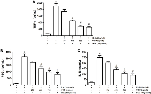 Figure 9 Effect of different concentrations of Wendan Decoction (WDD) and 100μmol/L Dexamethasone (DEX) on pro-inflammatory factors of IL-6 induced BV-2 microglia cells, respectively. (A) Concentrations of TNF-α in the cell supernatants. (B) Concentrations of PEG2 in the cell supernatants. (C) Concentrations of IL-1β in the cell supernatants. *P < 0.05, compared with blank control group; #P < 0.05, compared with IL-6-induced group.