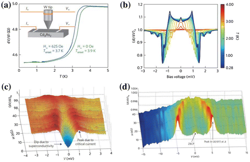 Figure 4. Point contact-induced superconductivity in Dirac semimetals. (a) A typical device for point contact measurement [Citation196]. The R–T transition is observed. (b) Normalized dI/dV spectra at different temperatures varying from 0.28 to 3.8 K without an external magnetic field [Citation196]. A zero bias conductance peak and double conductance peaks are observed. (c) In the thermal regime, the dV/dI spectra show a resistance dip (or conductance peak) due to superconductivity and double resistance peaks due to critical field effect [Citation197]. (d) In the ballistic regime, the double conductance peaks demonstrate an energy gap up to 13 K and the zero bias conductance peak is observed [Citation197].