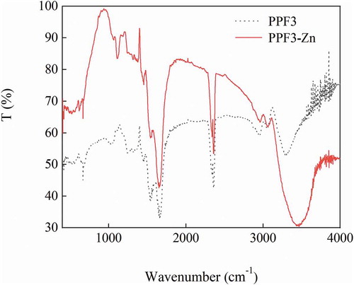 Figure 2. FTIR spectra of PPF3 and PPF3-Zn.Figura 2. Espectros FTIR de PPF3 y PPF3-Zn.FTIR: Espectroscopia infrarroja por transformada de Fourier, PPF3: Péptido del cacahuate con MW < 3 kDa, PPF3-Zn: Quelato del péptido del cacahuate con MW < 3 kDa y Zn2+, MW: Peso molecular.